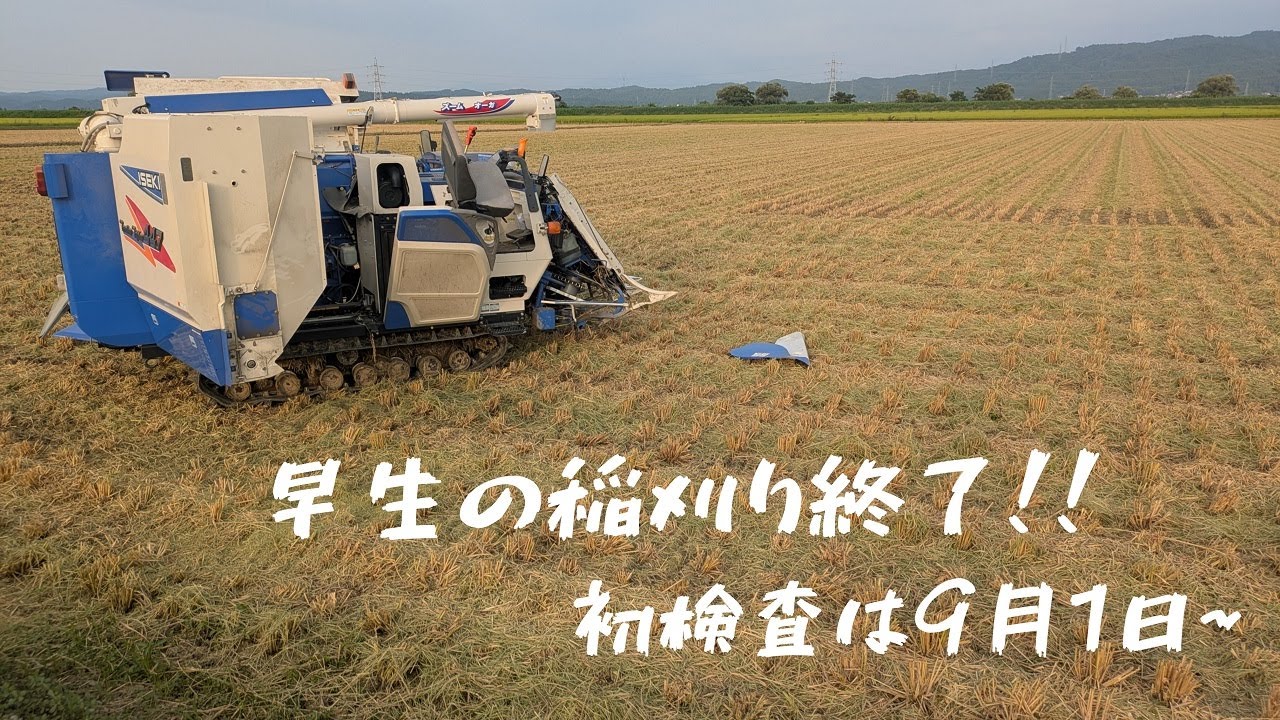早生品種の稲刈り終了！！最後の圃場が豊作で乾燥機に入りきらず。毎日１町稲刈り健康生活。