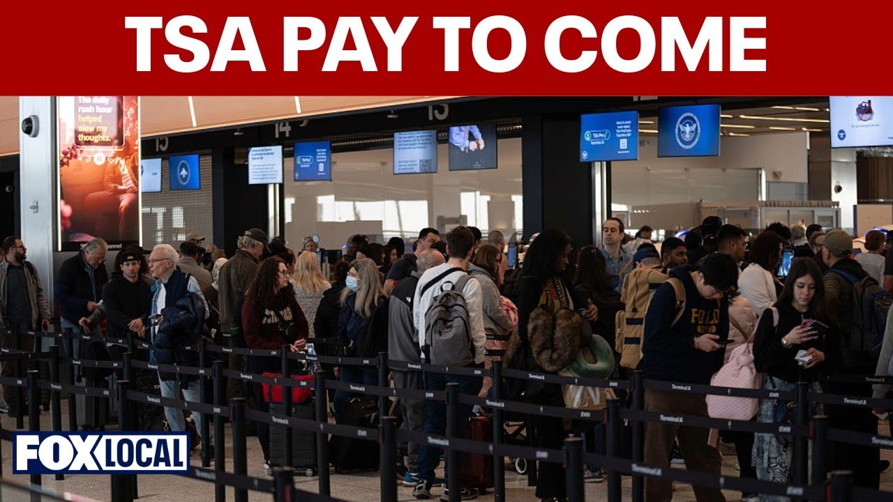 Сотрудники TSA получат зарплату после распоряжения Трампа на фоне задержек в поездках.