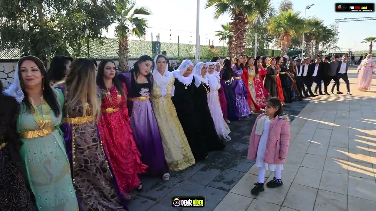 NİHAT TEKİN DÜĞÜNÜ PART5 TEKİN AİLESİNİN DÜĞÜNÜ MÜZİK-GRUP NİHAT SİLOPİ