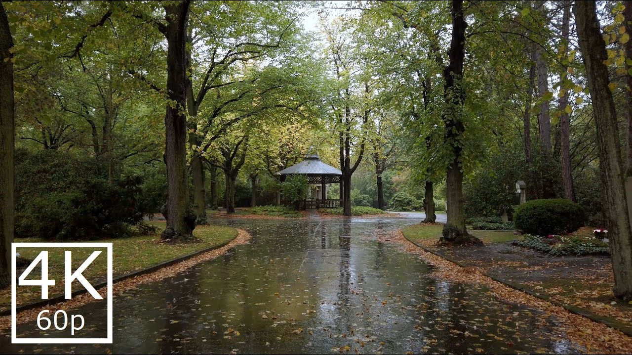 Walking in the Rain | Cemetery Park | 1 Hour | ASMR | Rain and Umbrella Sounds | 4k 60fps