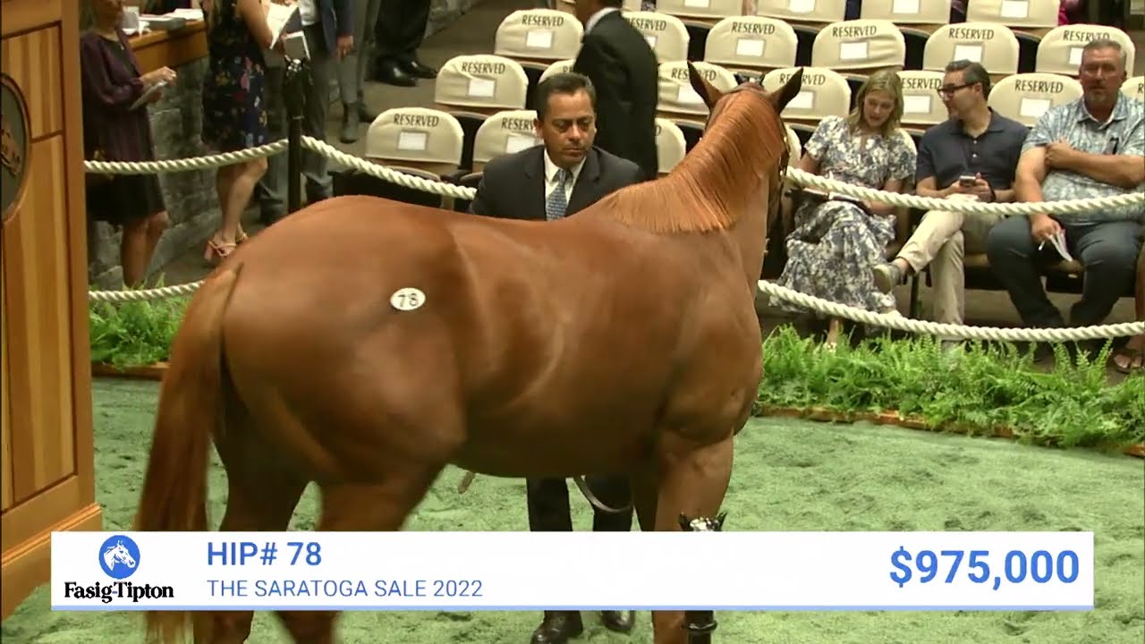 Justify colt o/o Slews Golden Rule sells for $1,100,000 at The Saratoga Sale (2022)