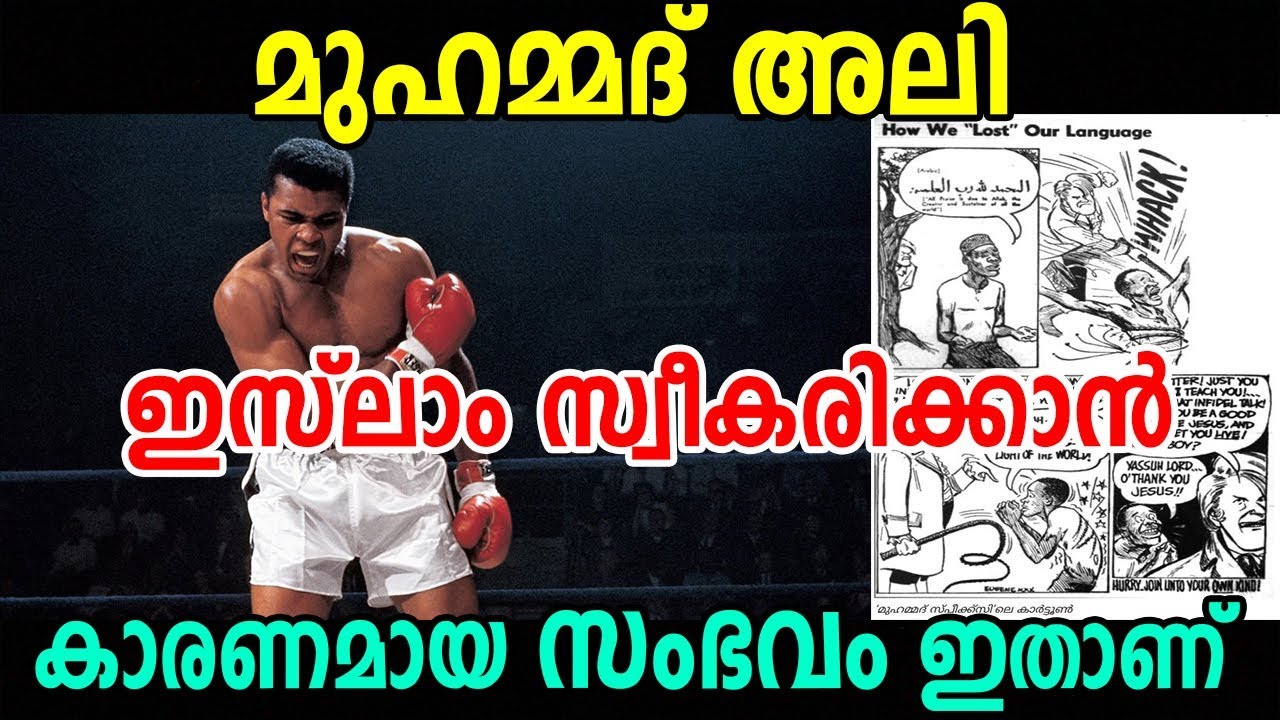 MUHAMMAD ALI ഇസ്‌ലാം സ്വീകരിക്കാൻ കാരണമായ അത്ഭുത സംഭവം | marhaba media islamic speech in malayalam