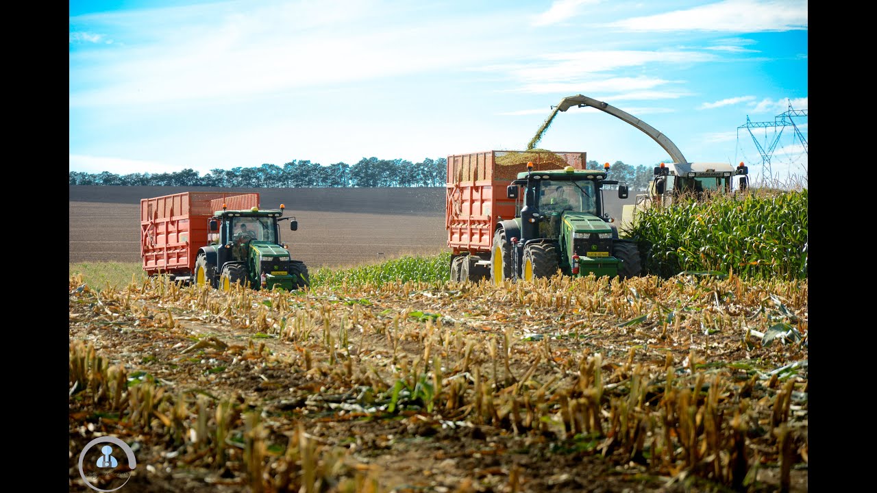 Siláže - Silage 2020 -  Claas Jaguar 850 + 2x John Deere 8R + Claas Ares 697;  Umega;  WTC