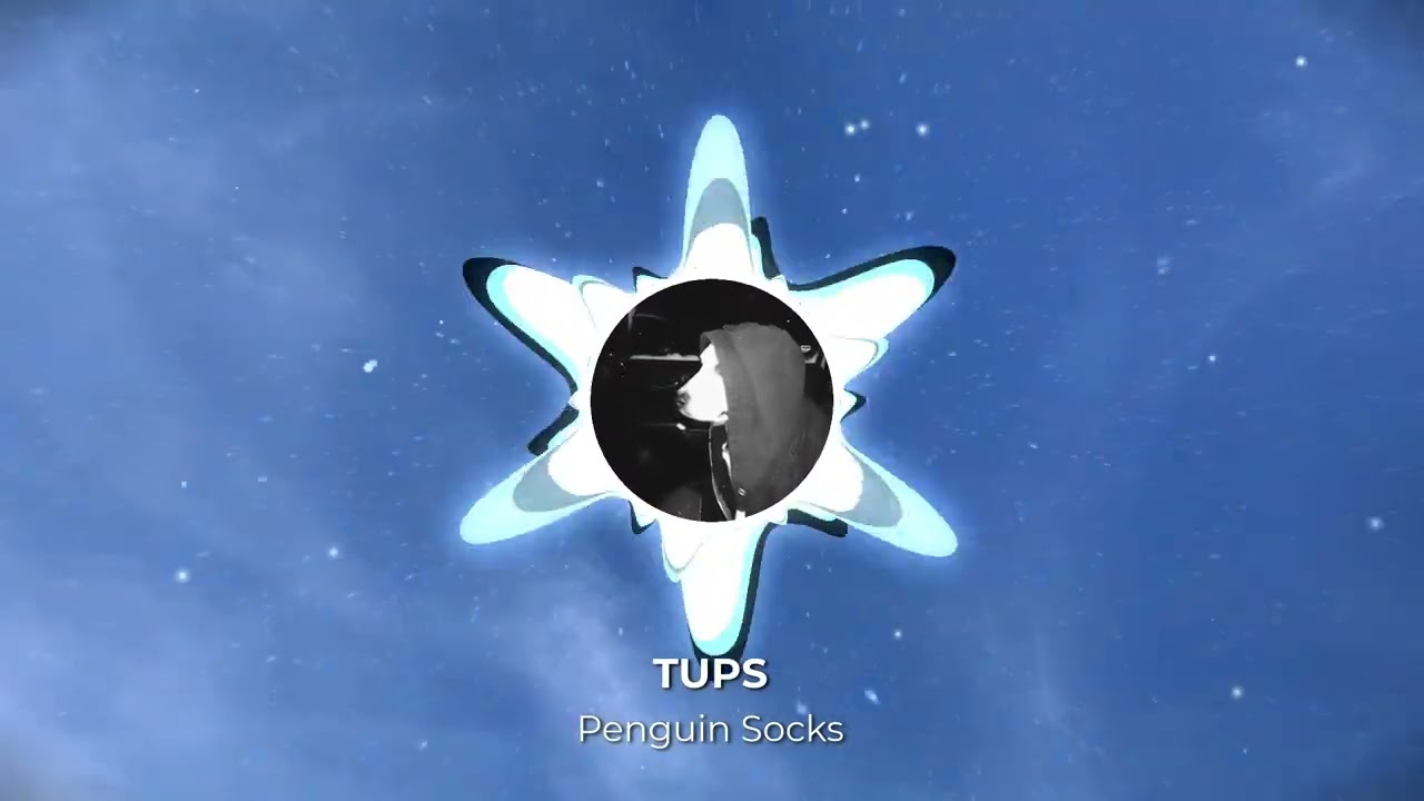 TUPS -  Penguin Socks
