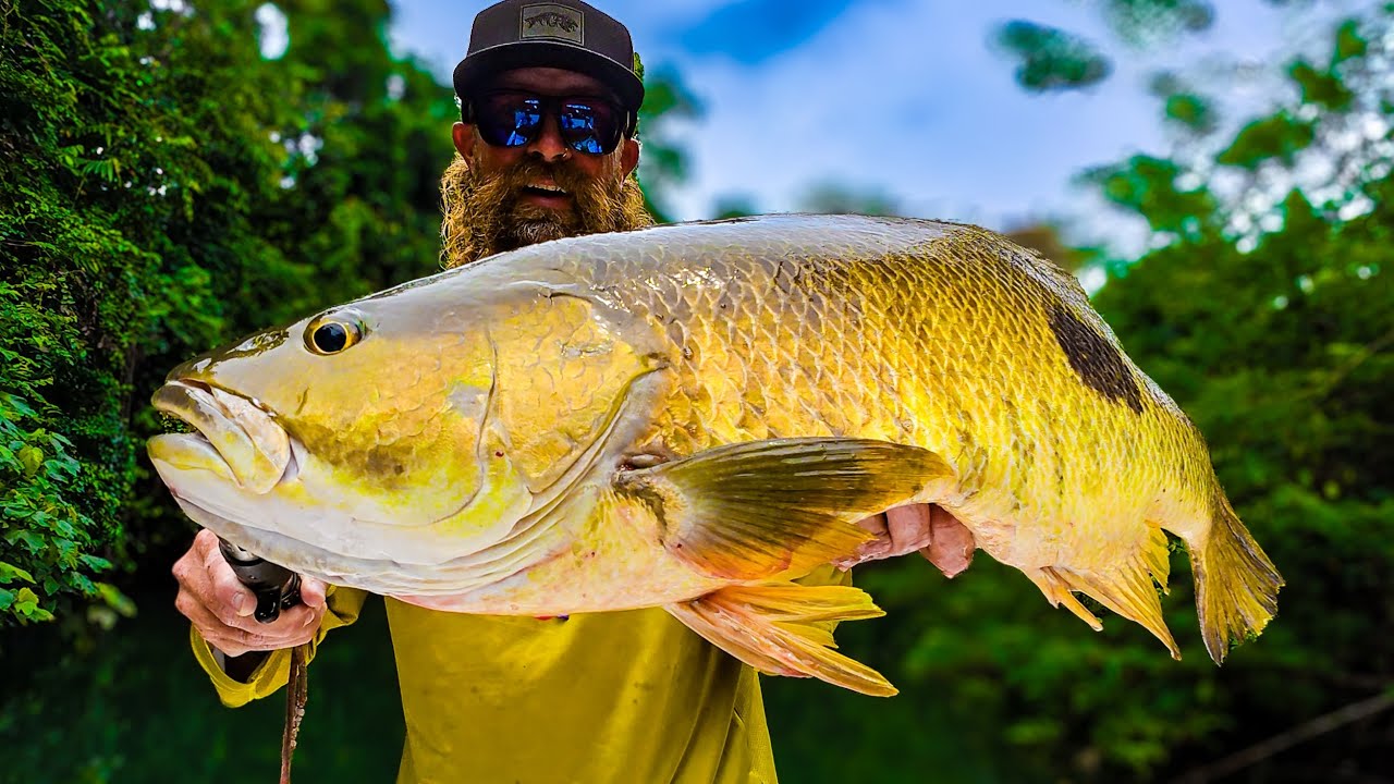 EPIC TOPWATER PNG JUNGLE BASS FISHING!