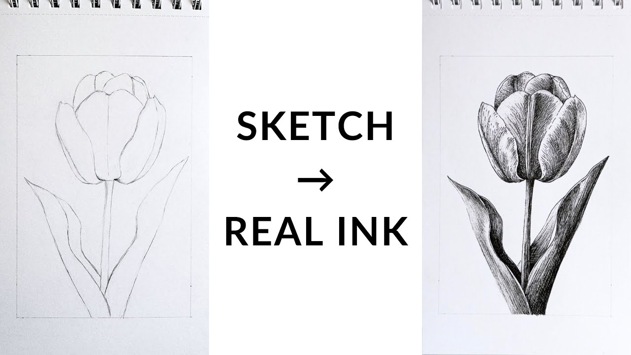 Pen & Ink Tulip Tutorial | Light, Volume & Crosshatching Explained