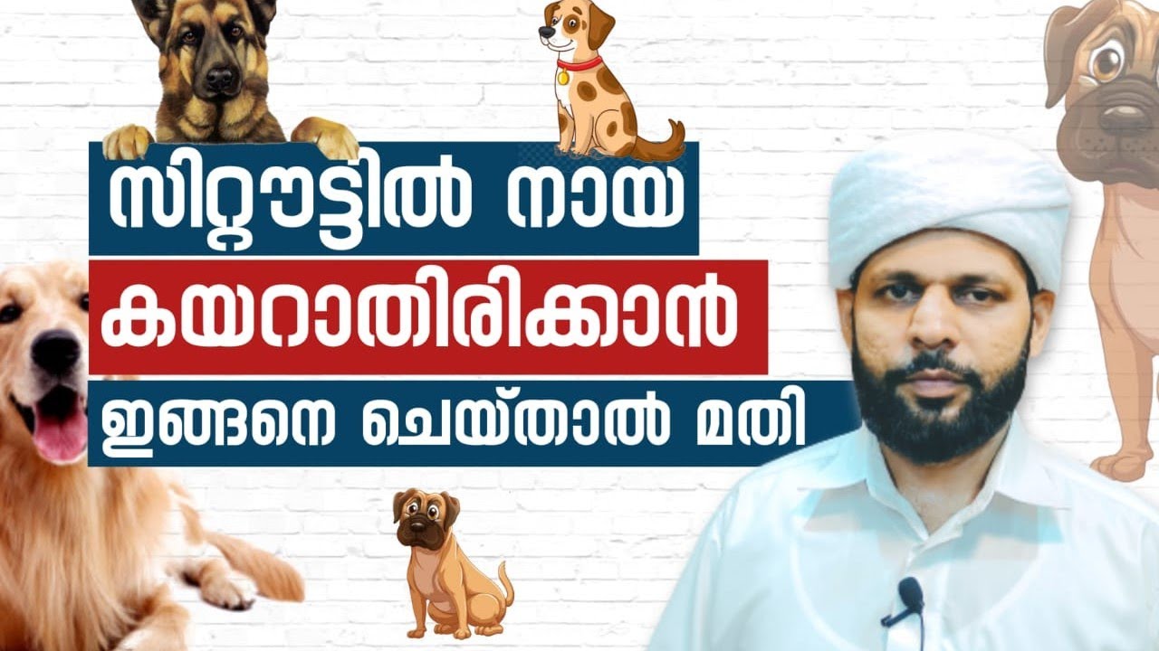 സിറ്റൗട്ടിൽ നായ കയറാതിരിക്കാൻ ഇങ്ങനെ ചെയ്താൽ മതി....🎤rafeeq saqafi delampady