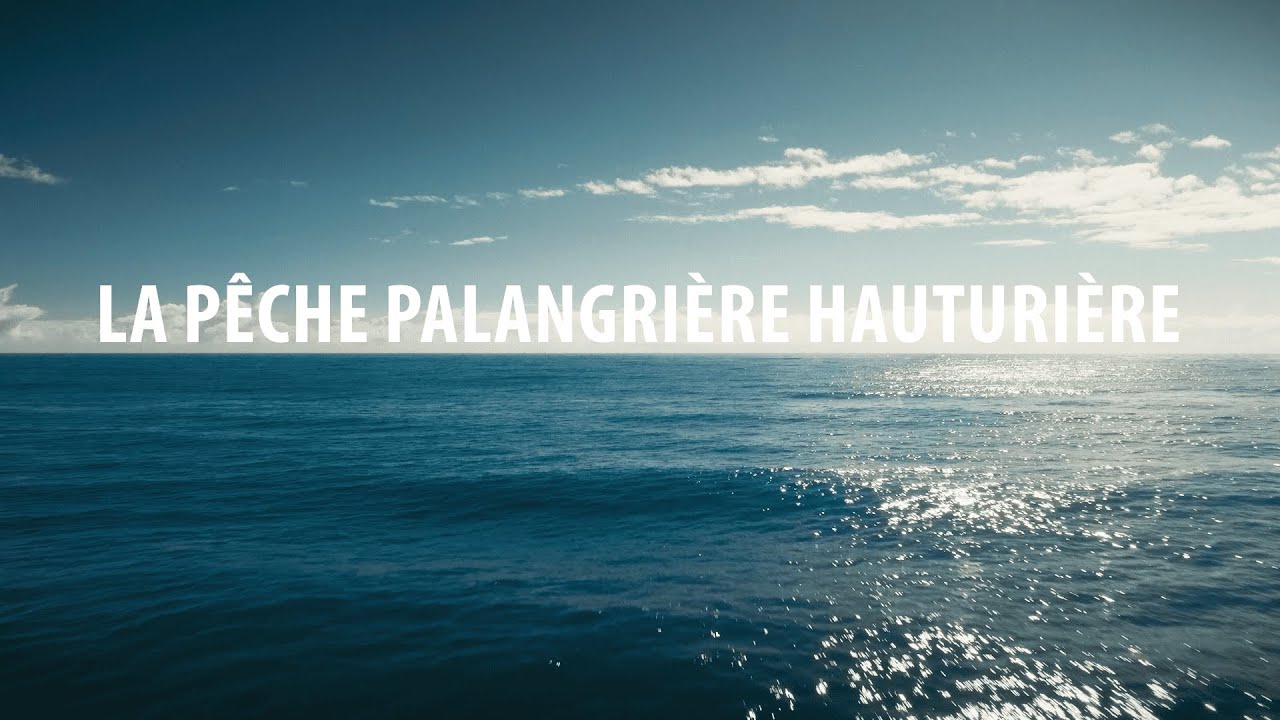 LA PÊCHE PALANGRIÈRE HAUTURIÈRE