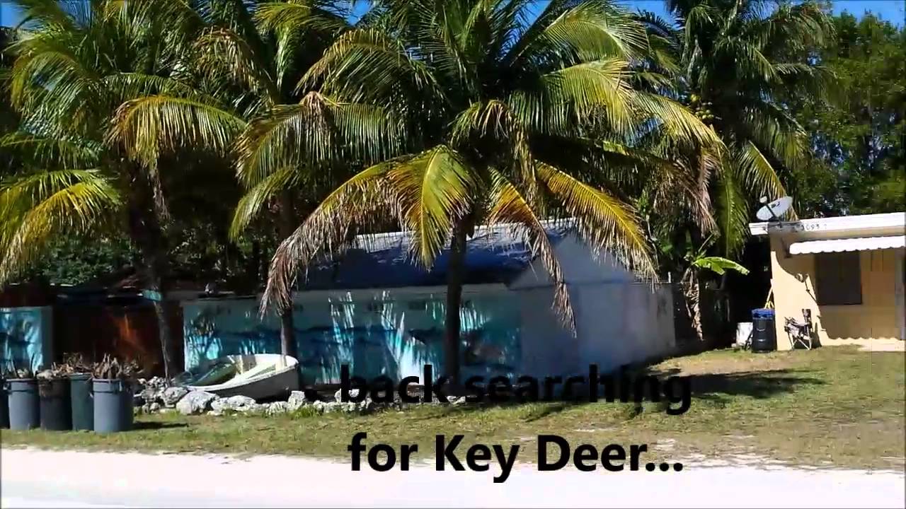 Key West - Famous NO NAME PUB ~ Flea Market (Well. Big Pine Key)