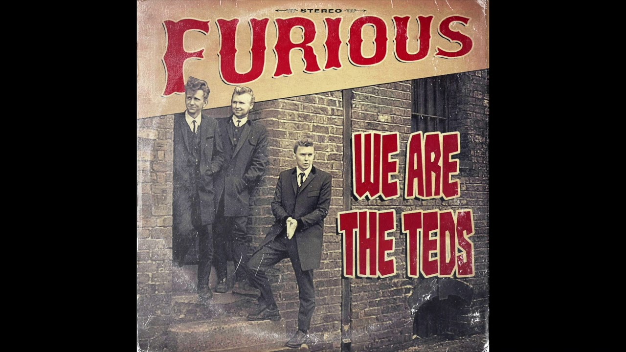WE ARE THE TEDS