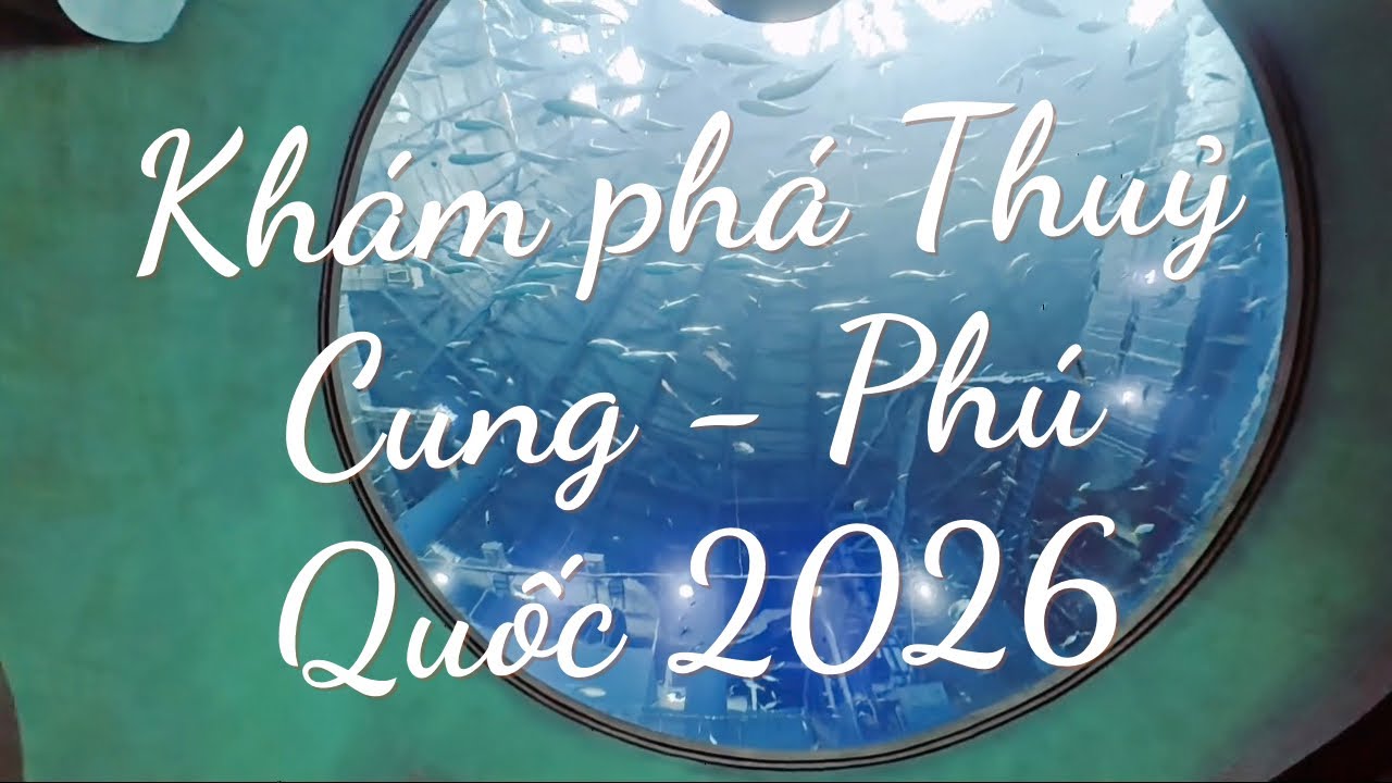Travel PHÚ QUỐC 2026 - Cùng khám phá Thuỷ Cung - Vùng Biển Lãng Du