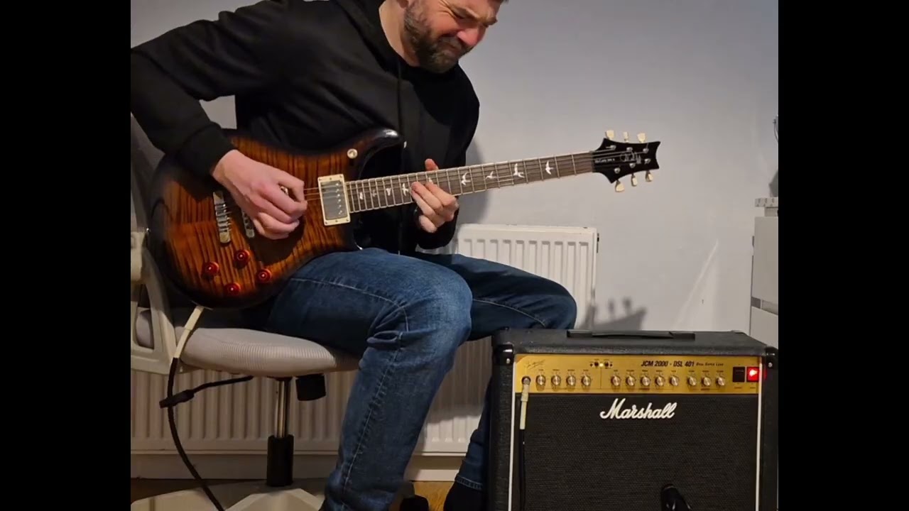Marshall JCM2000 DSL 401 