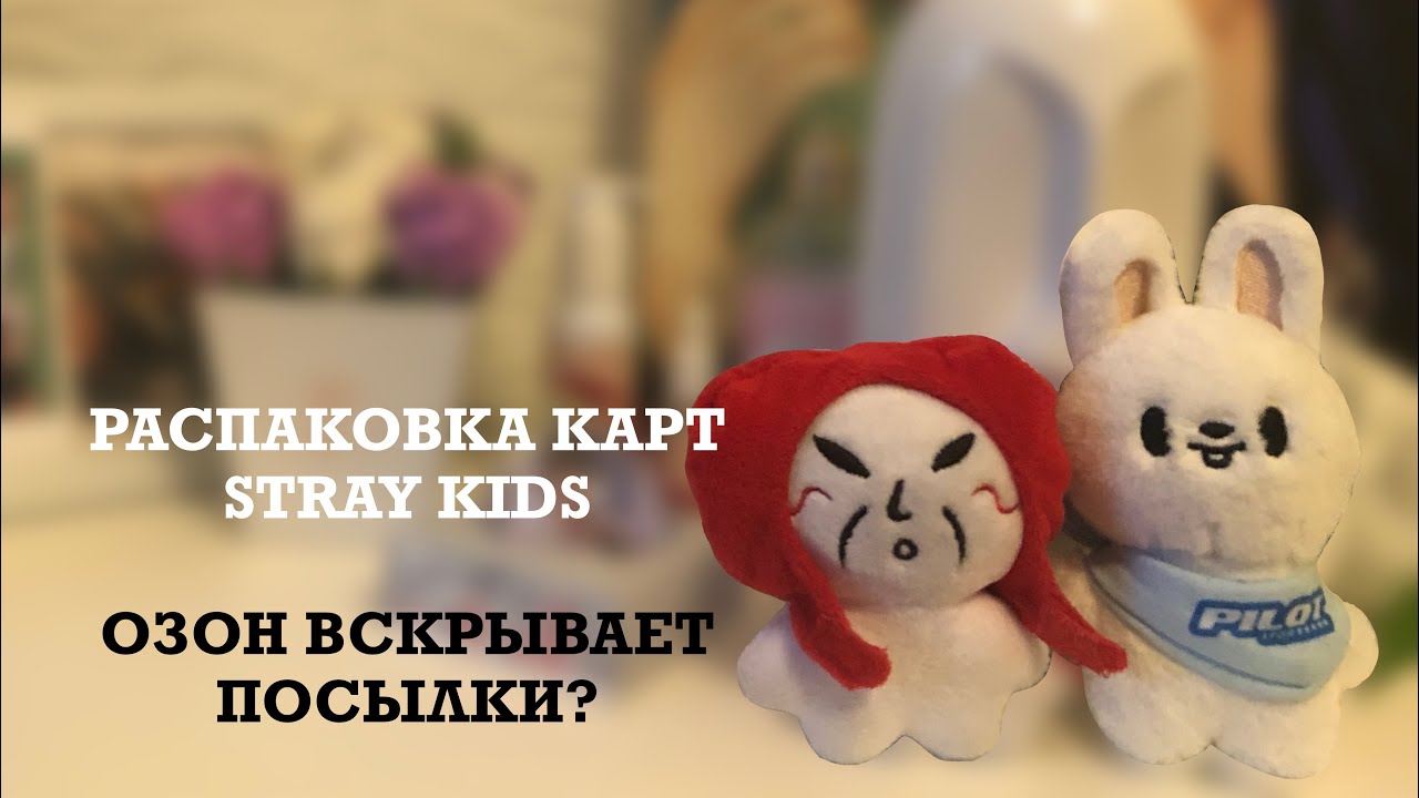Распаковка карт Stray Kids | Доставка OZON 