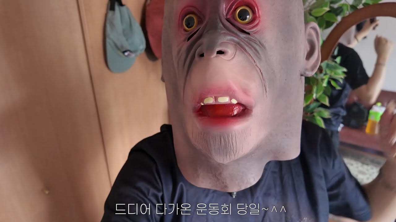 도쿄유학 | 이것이 바로 일본 운동회 + 선배들이랑 뒷풀이