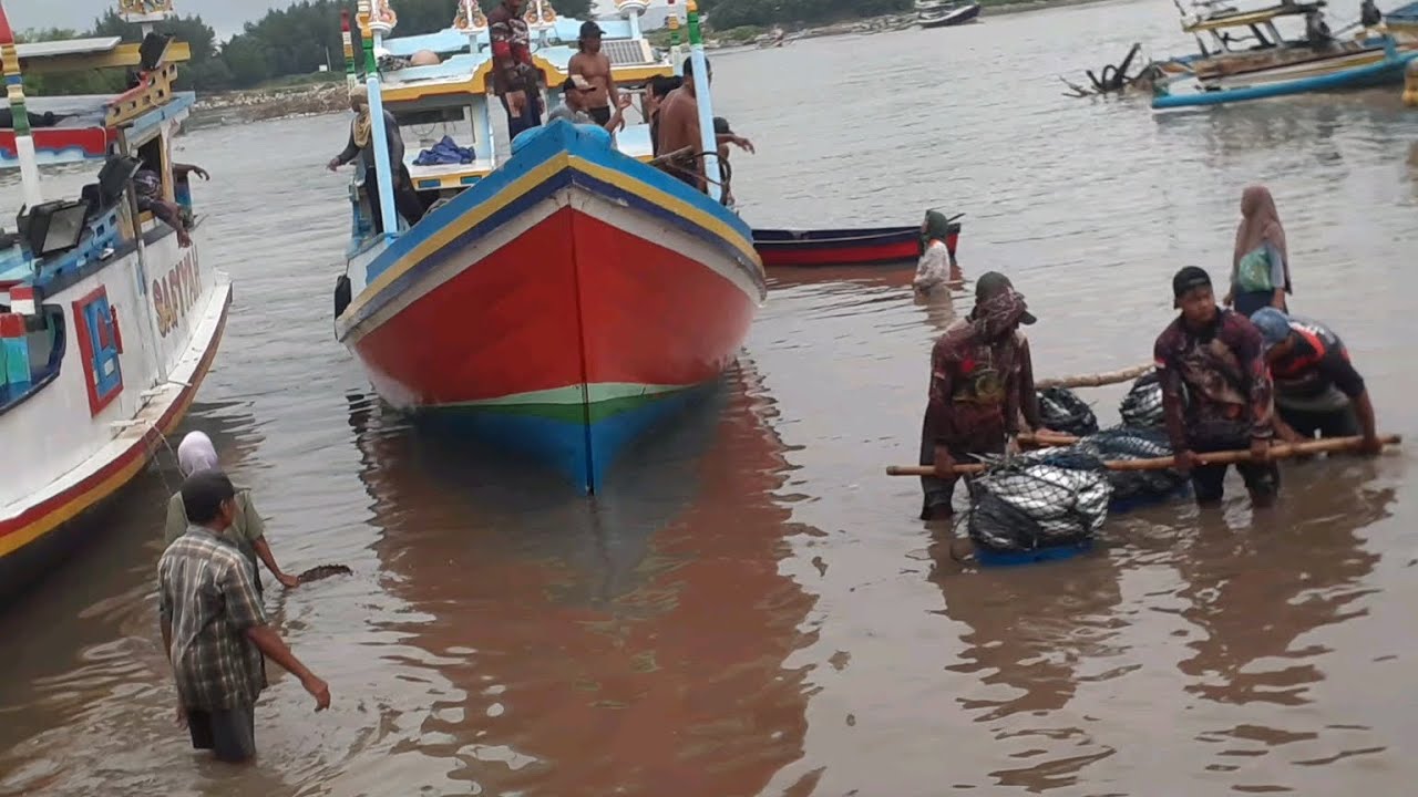  TIBANYA SANG PEJUANG RUMPON!!  PROSES PENURUNAN  IKAN!! Nelayanpuger  18/3/2026 @Keluarga kalily 