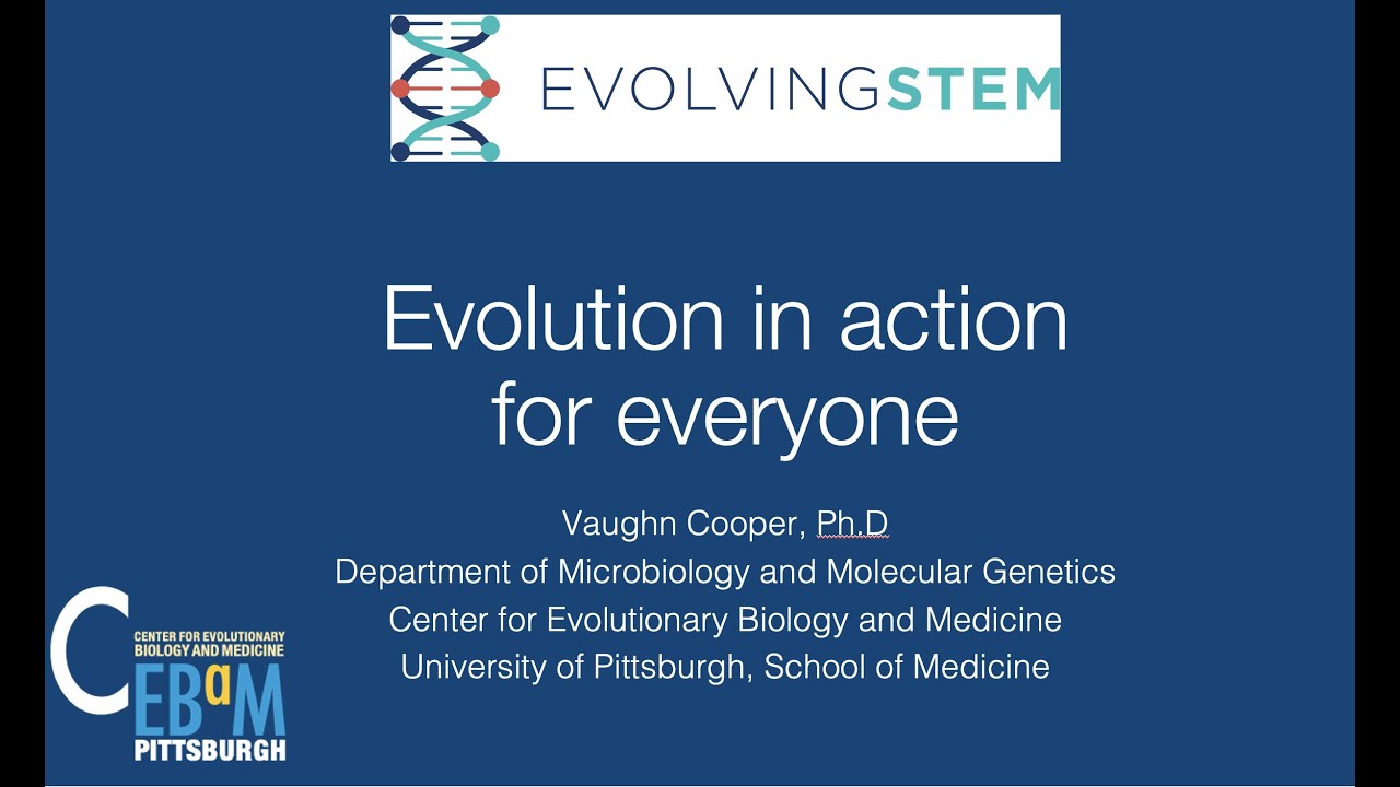 EvolvingSTEM: a microbiology curriculum for students to watch and decode evolution in real time