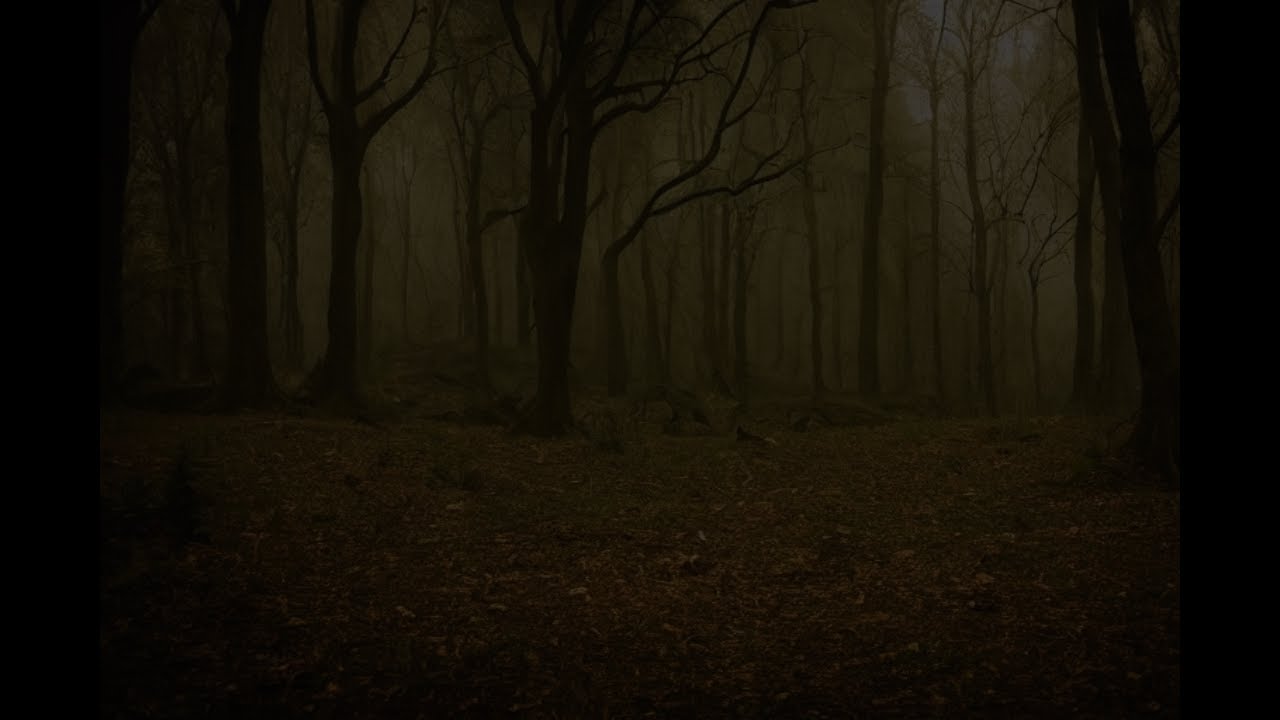 Tales from the Forest