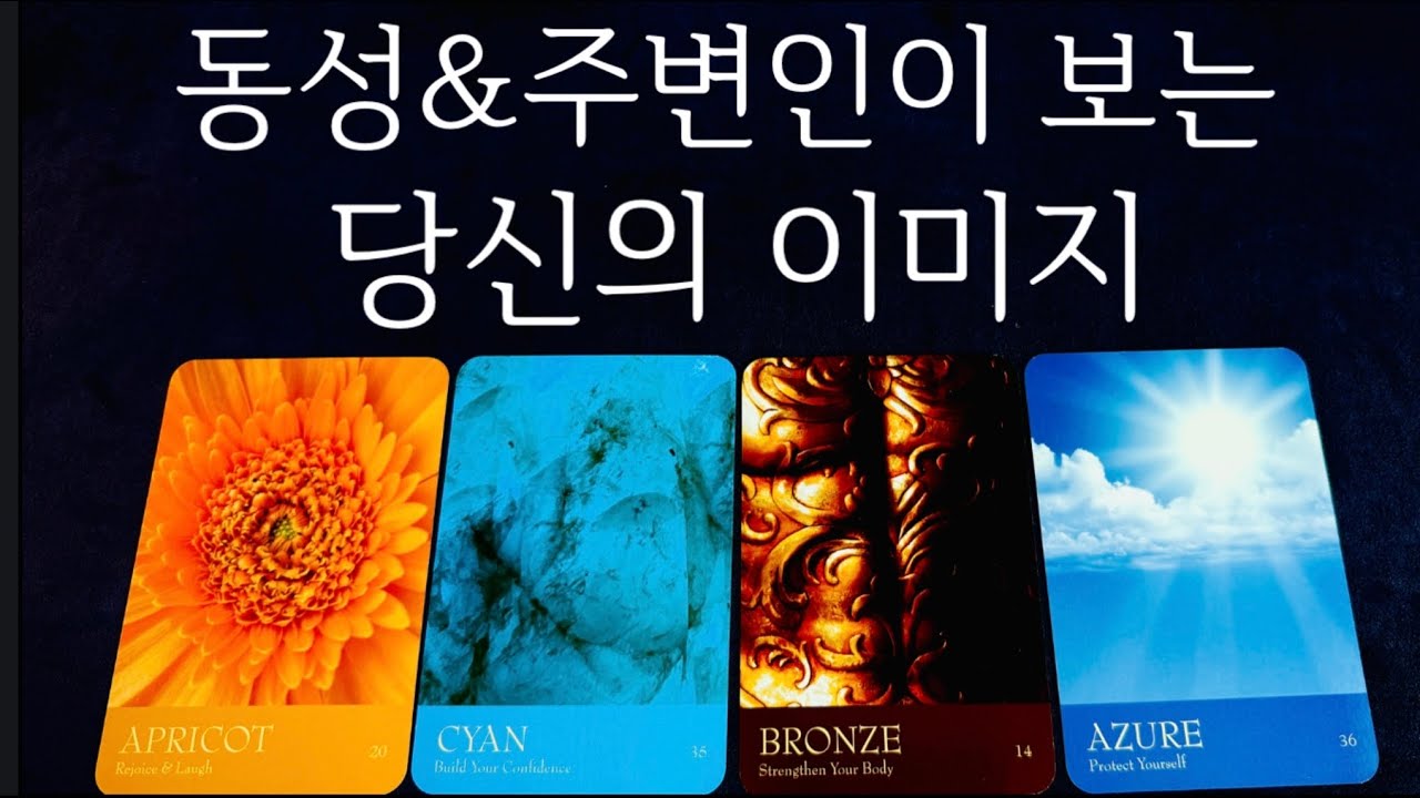 [타로]🪭나를 바라보는 동성&주변인의 시선과 인간관계 점사