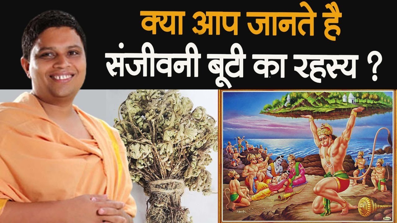 क्या आप जानते है संजीवनी बूटी का रहस्य || Acharya Balkrishna