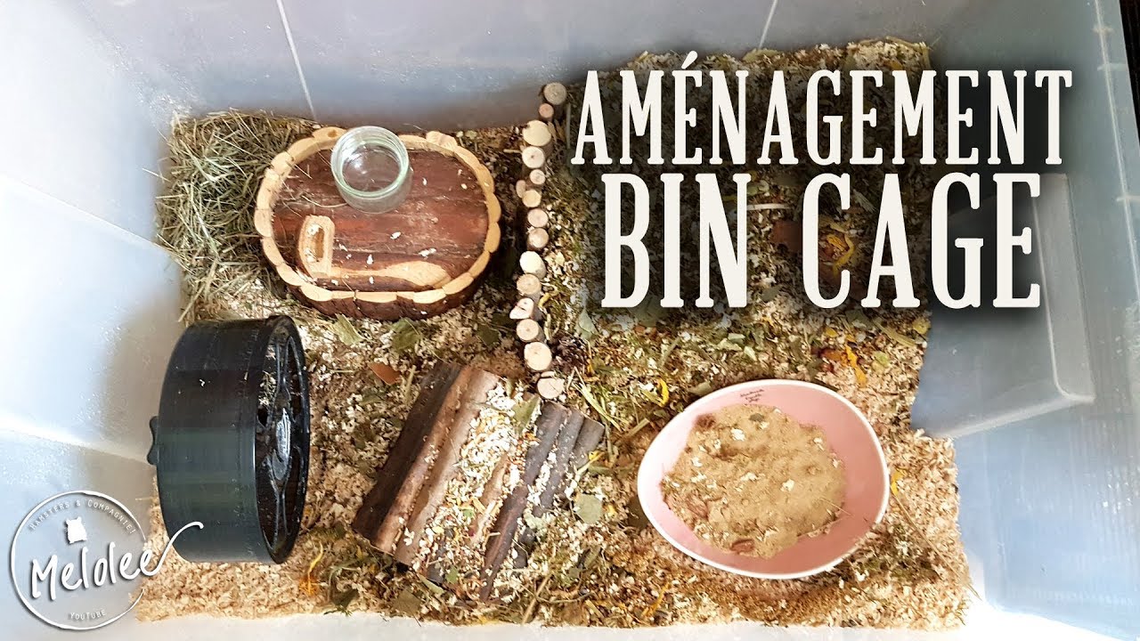 AMENAGEMENT d'une BIN CAGE pour HAMSTER NAIN