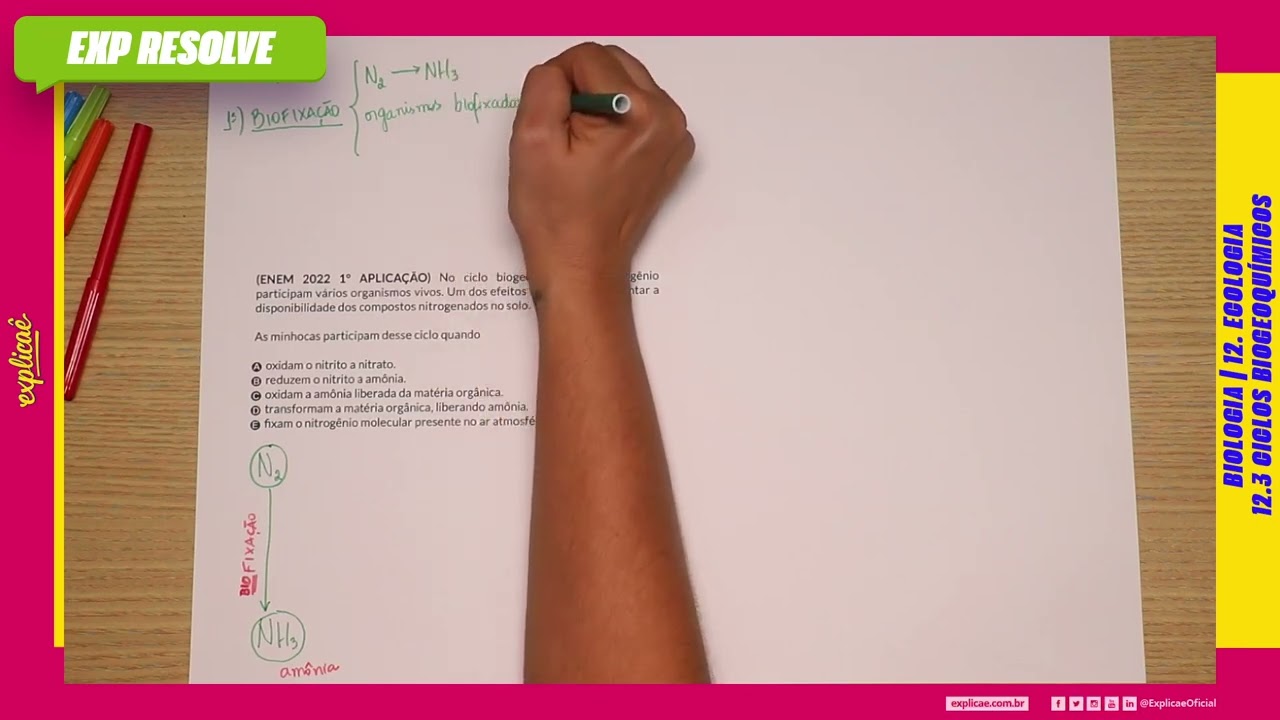 NO CICLO BIOGEOQUÍMICO DO NITROGÊNIO PARTICIPAM VÁRIOS ORGANISMOS (...) | CICLOS BIOGEOQUÍMICOS