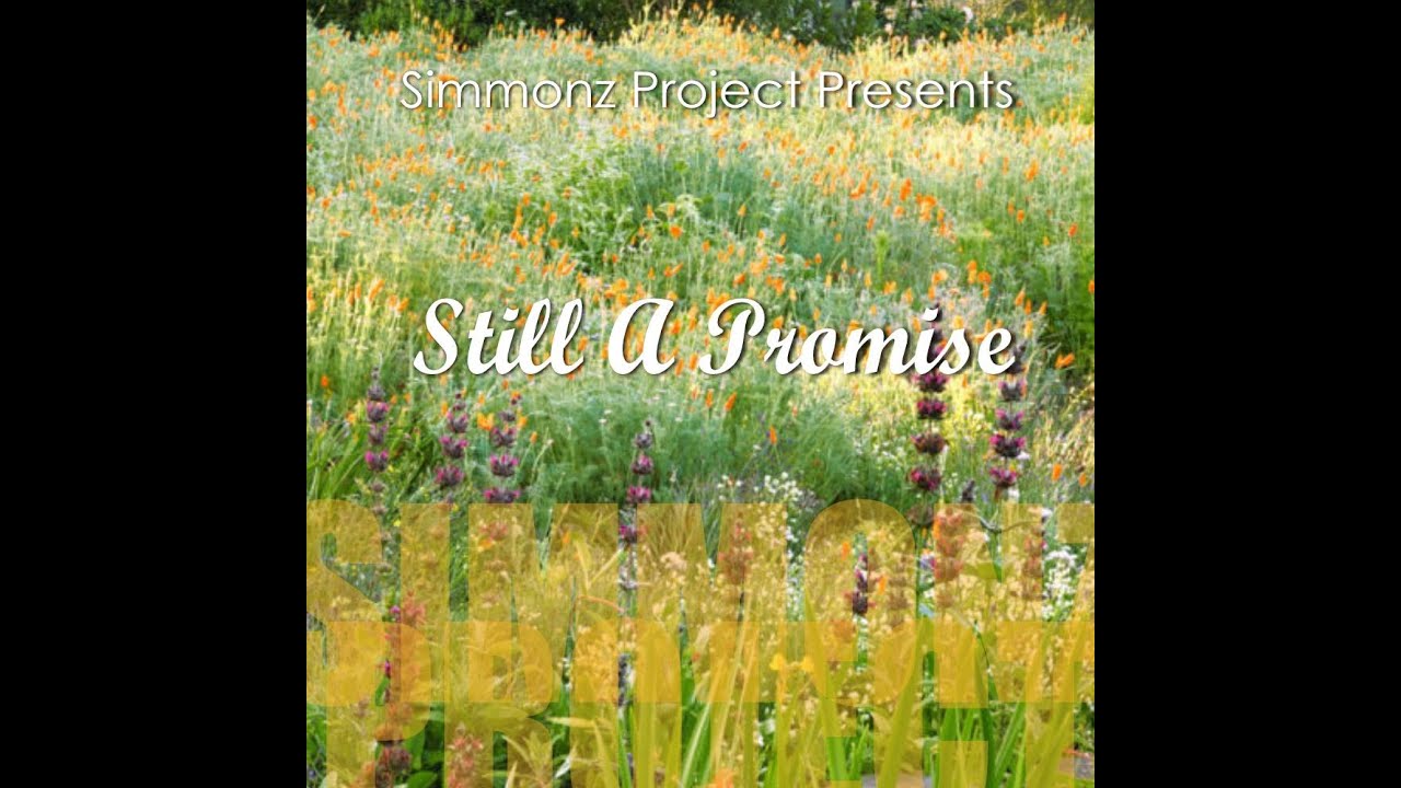 STILL A PROMISE