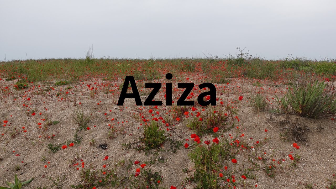 【アラブ音楽 / Arabic Music】Aziza / عزيزة (Mohamed Abdel Wahab Cover)