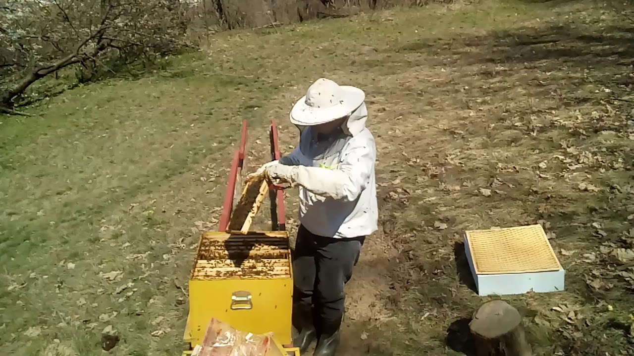 Dodavanje polunastavka db12 košnica