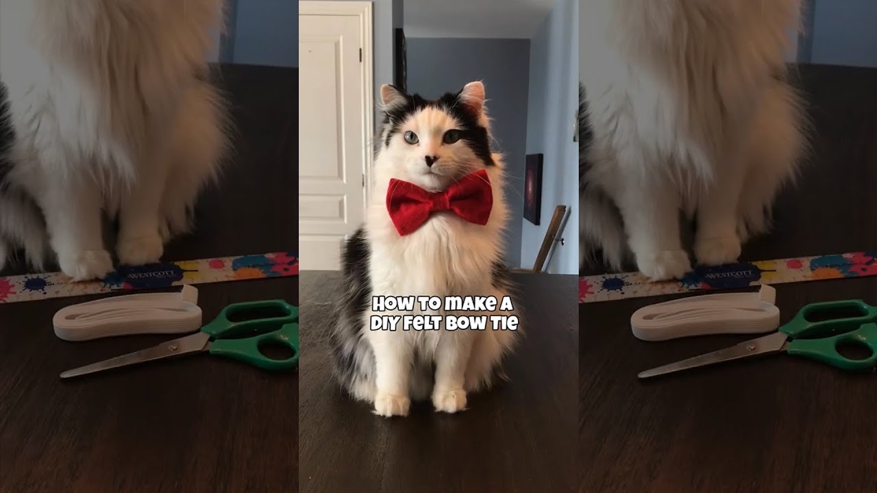 How to make a DIY felt bow tie