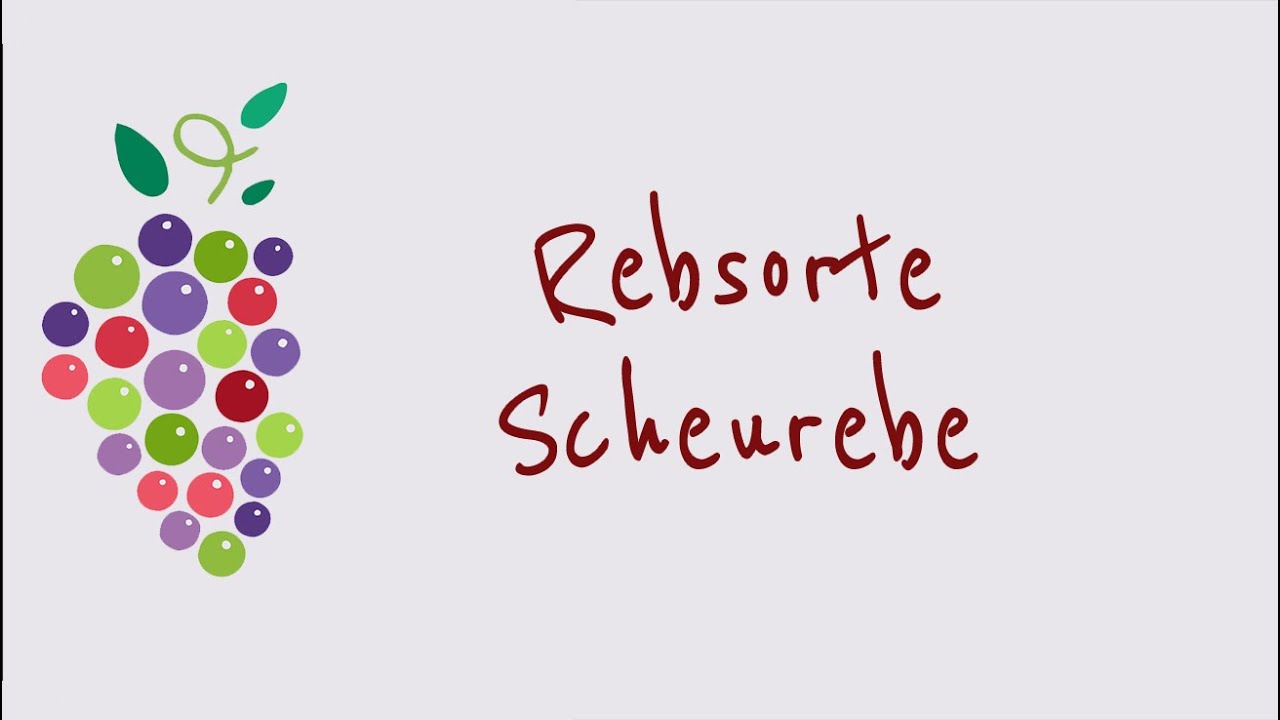 Ein Wort zum Wein - Rebsorte Scheurebe
