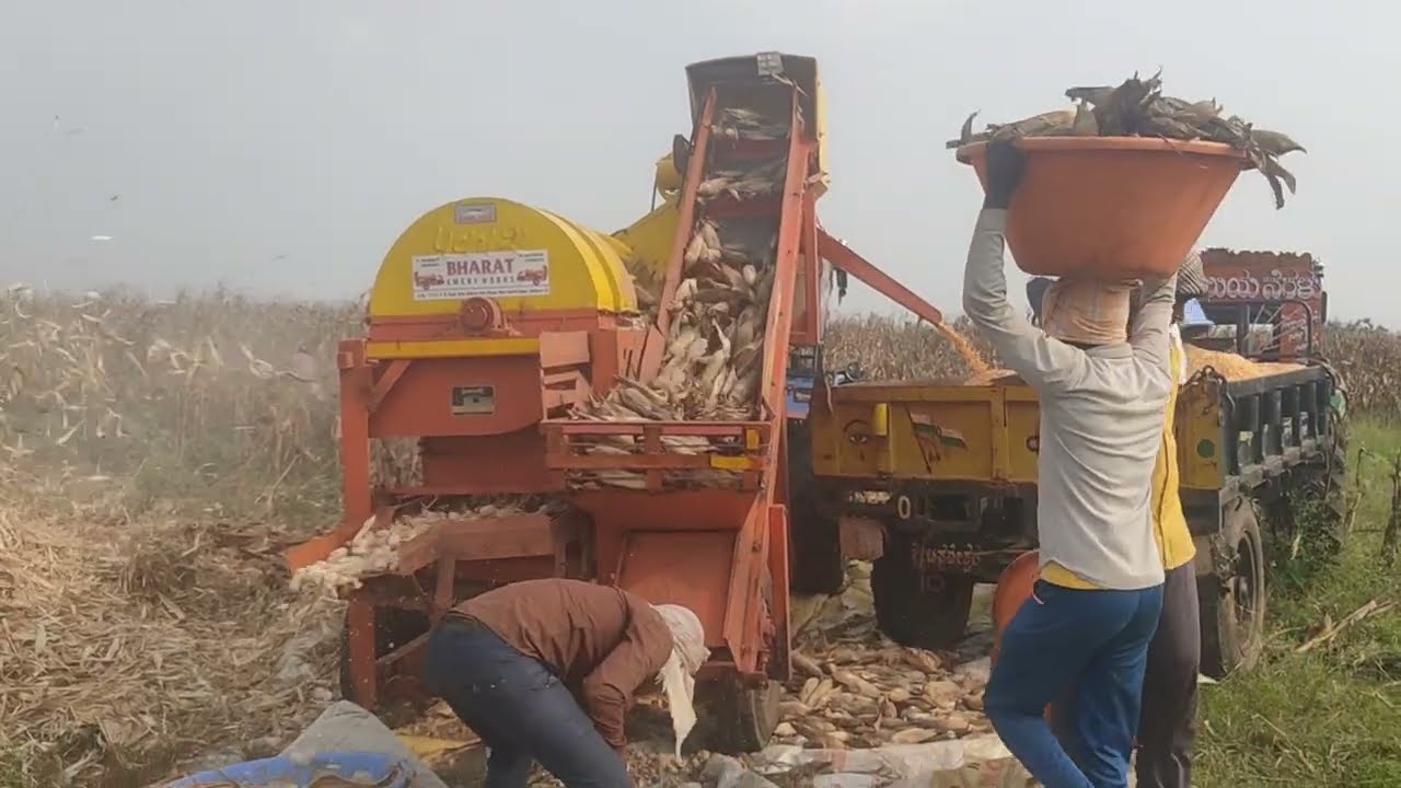 prakash makka thresher in ugargol mahesh 9380492501
