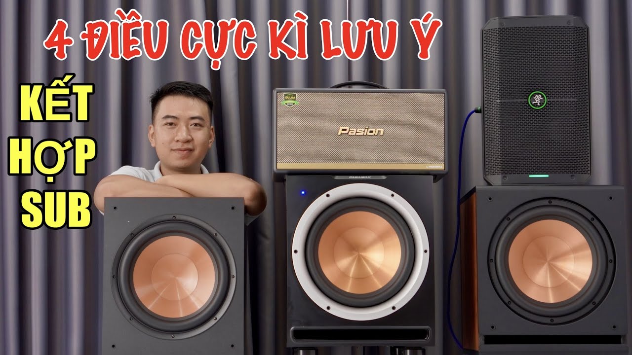 Loa xách tay kết hợp loa sub LƯU Ý TRƯỚC VÀ SAU KHI MUA