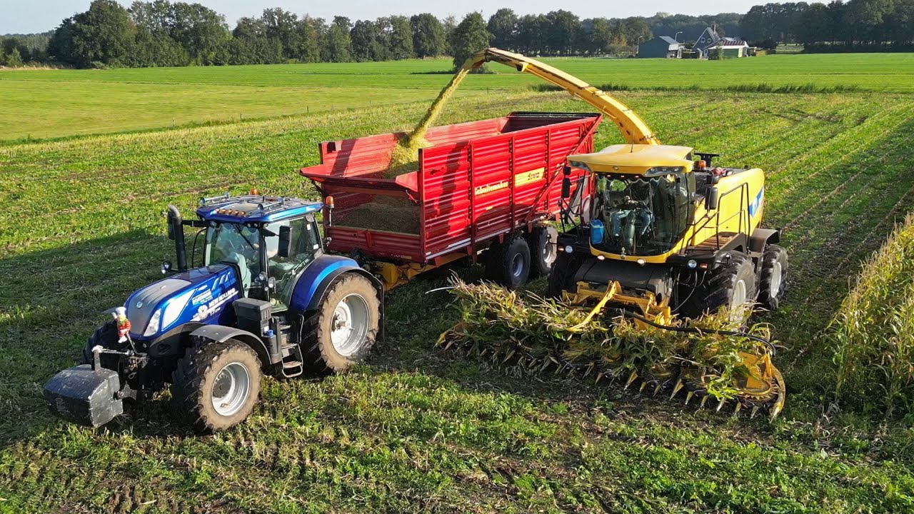Mais Silage | New Holland FR9050 + T7.230 | H. Korenberg & Rozeboom | 2024