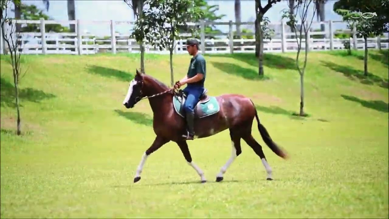 Indonésia do Espinhaço (T.E.)