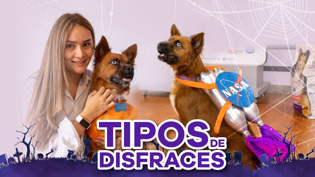 Cómo hacer un disfraz para perro en casa fT. Michelle Macía 👻🐶
