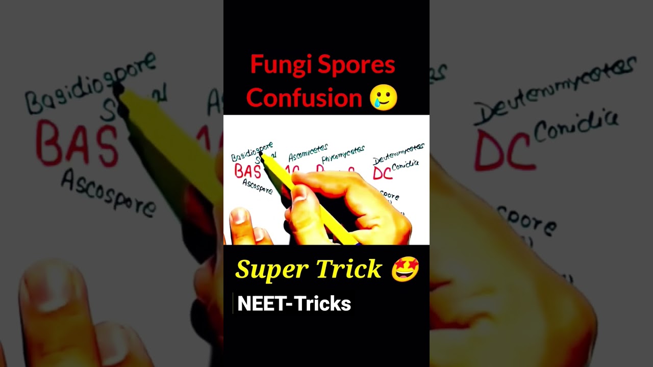 'FUNGI SPORES' Will Never Confuse You Again🔥| Easy Tricks | Neet         #neet  #neetshorts