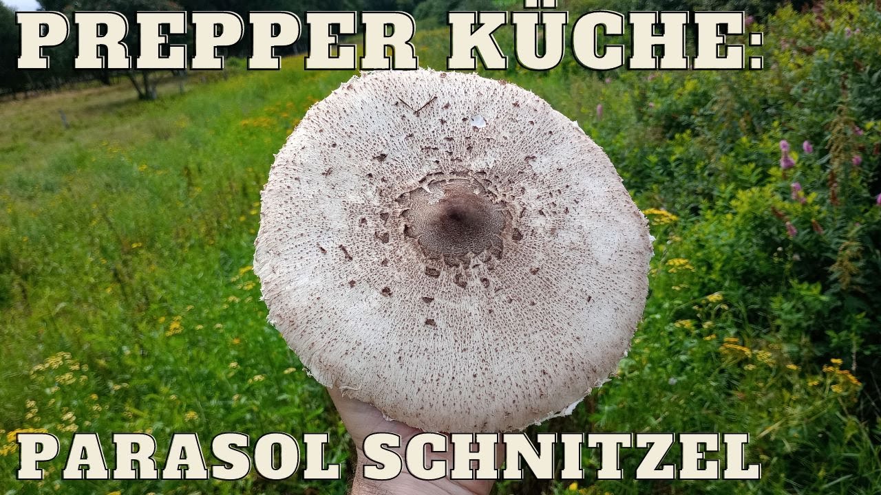 Prepper Küche: Parasol Schnitzel | Prepper Kitchen Prepperskills | Die Krise überleben