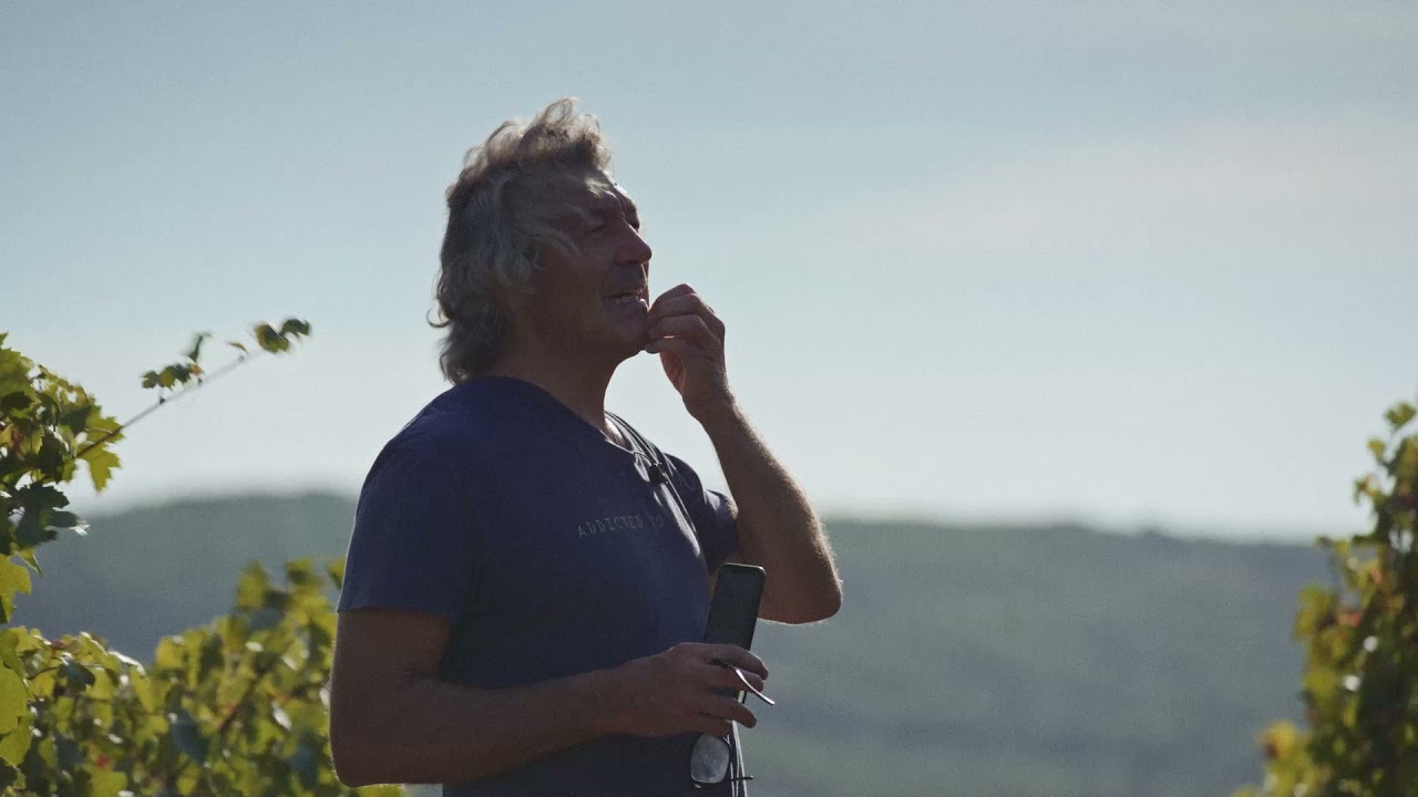Au cœur des Vendanges 2021 avec Gérard Bertrand : Episode 2
