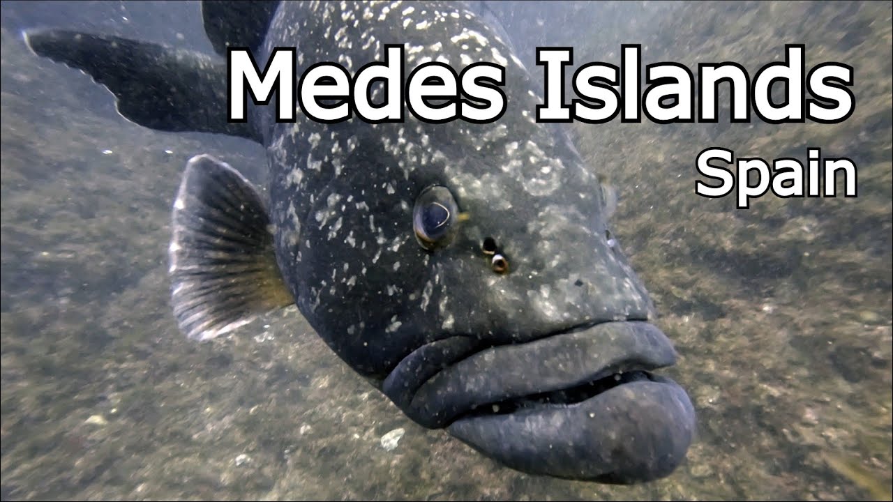 Scuba diving in the Medes Islands, Spain