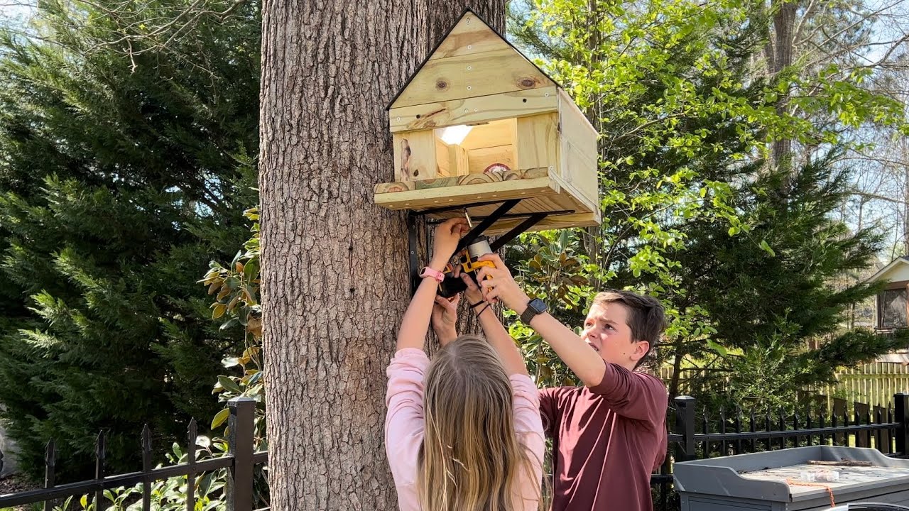 We Made A Squirrel House