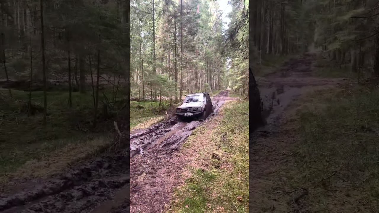 #patrol #offroad #forest #mud #nissanpatrol #rd28t #k260