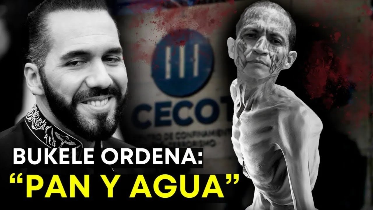 EL SALVADOR HOY 🔴 Operativo MAXIMA ALERTA barre con PANDILLEROS - EL SALVADOR