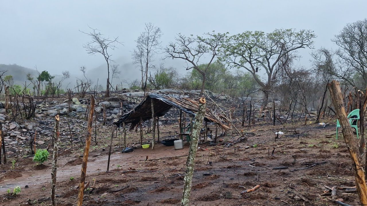 Numa manhã de temporal  de chuva 🌧🌧na roça, zezinho vai planta feijão de corda amanhã🌽🥬🌧🤞