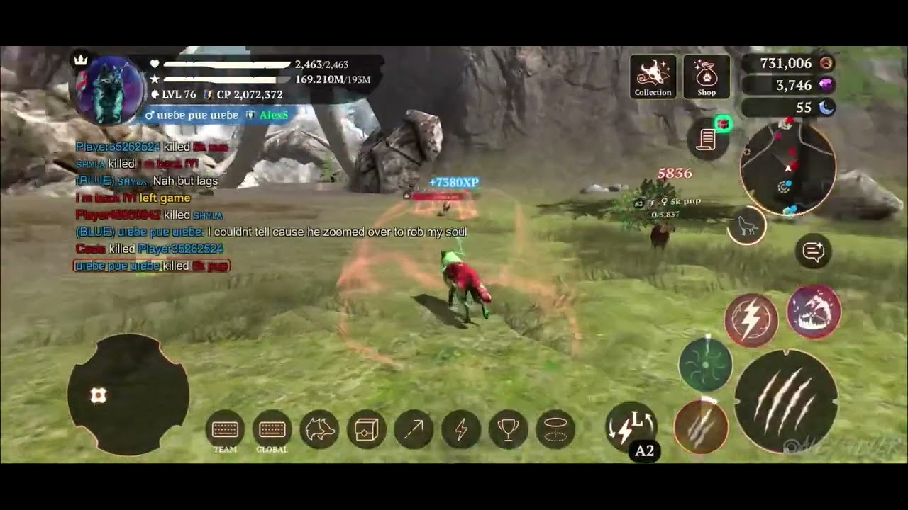 The Wolf- PvP