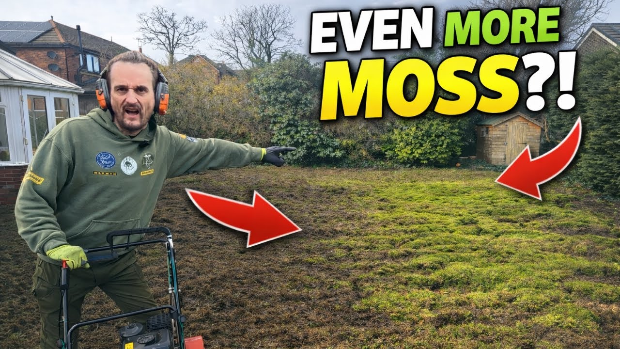 SCARIFYING This Lawn For The 2nd Time, What's The Best Way To Pile It Up?