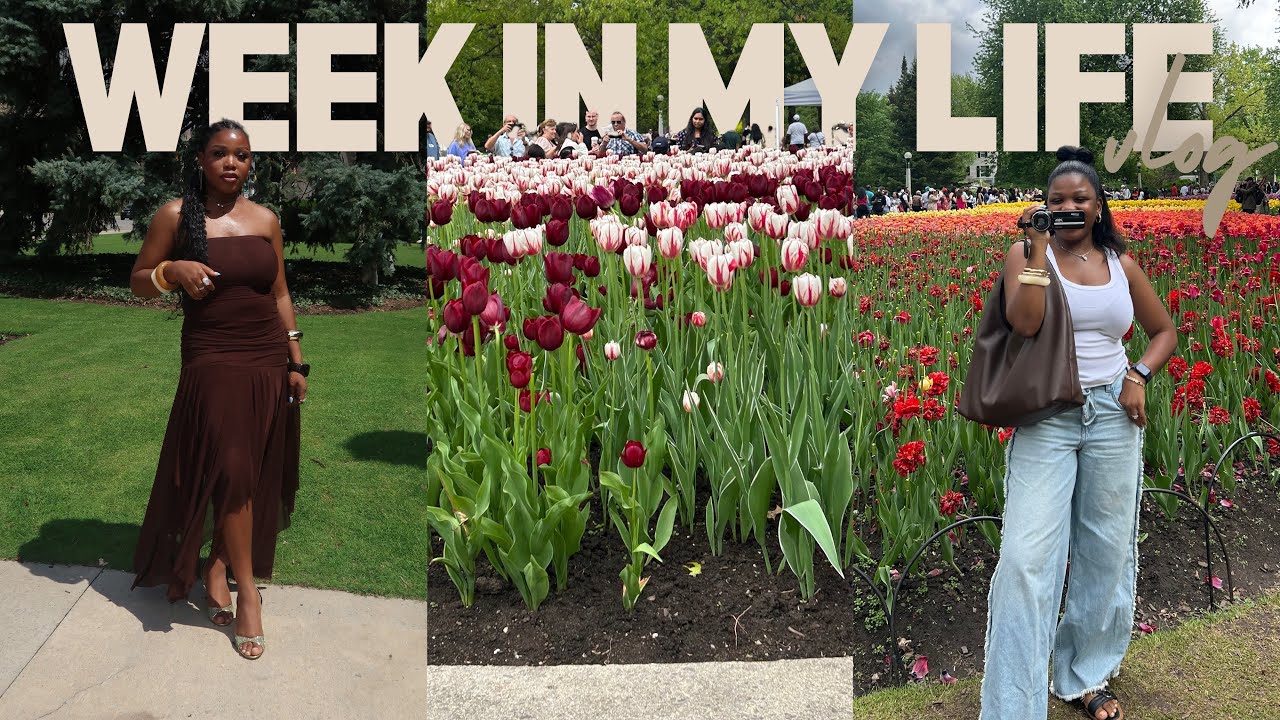 I now love road trips+baking+ grocery runs+ seeing tulips+ stop talking about what you don’t know 🤭