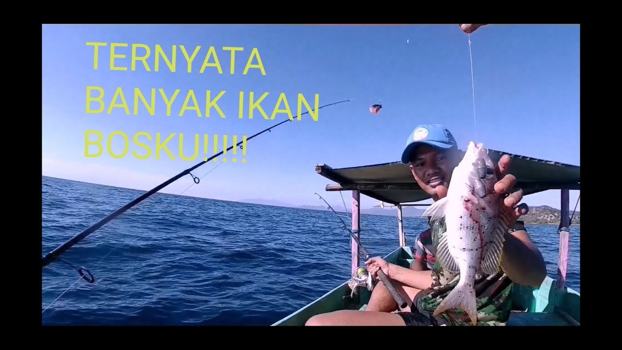 Strike terus bosku