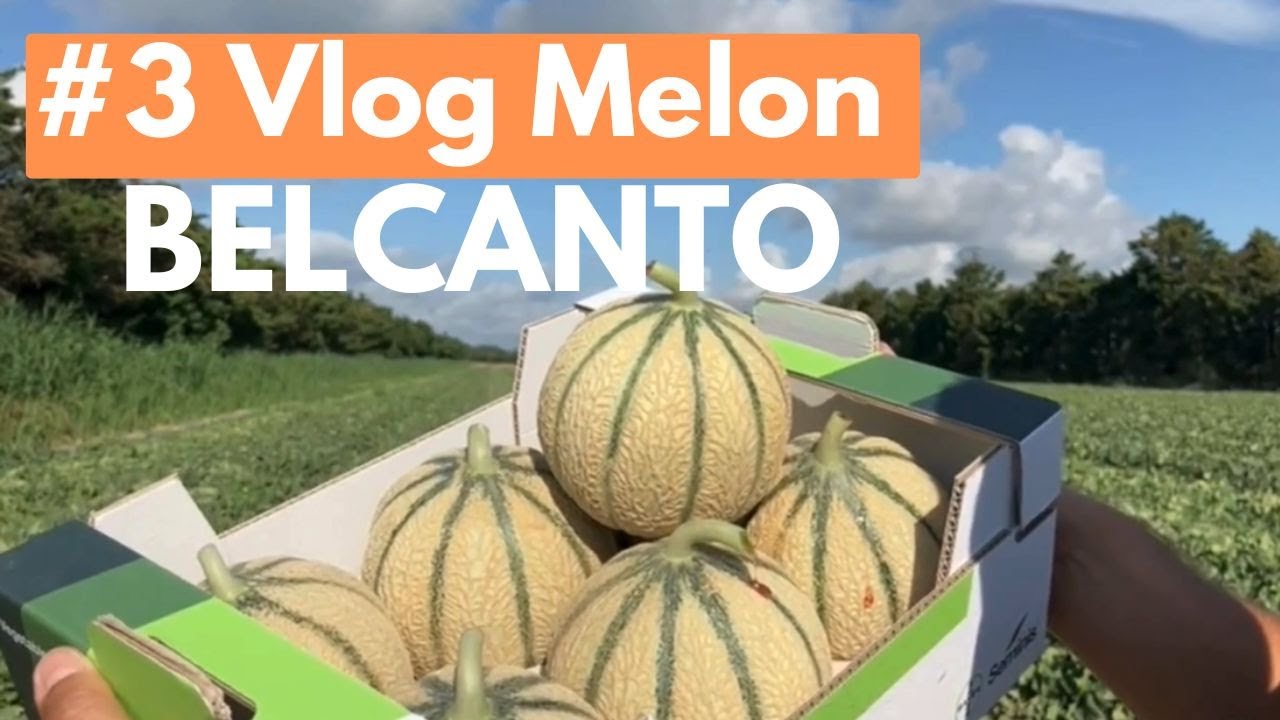 Vlog Melon - Episode 3 : Belcanto dans les Alpes