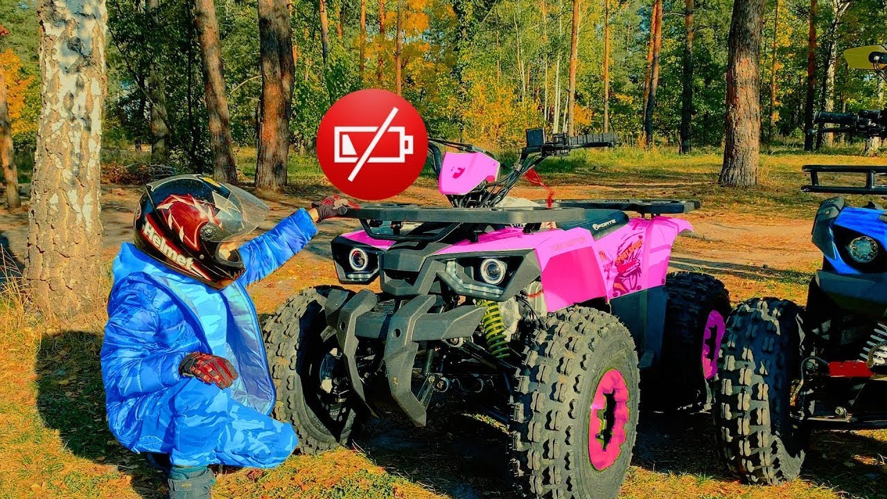 Aventuras de Den y Mamá en un picnic con Coches para niños!