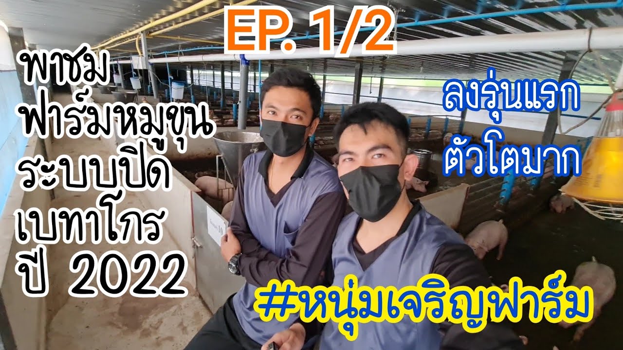 พาชม #ฟาร์มหมู  ระบบปิด ในยุคปี 2022 #หนุ่มเจริญฟาร์ม ทุ่ม 4 ล้านสร้าง #ฟาร์มหมูเบทาโกร  EP. 1/2